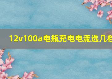 12v100a电瓶充电电流选几档