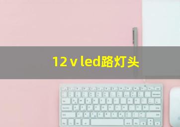 12ⅴled路灯头