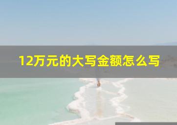 12万元的大写金额怎么写