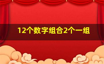 12个数字组合2个一组