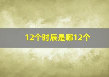 12个时辰是哪12个