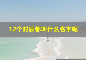 12个时辰都叫什么名字呢