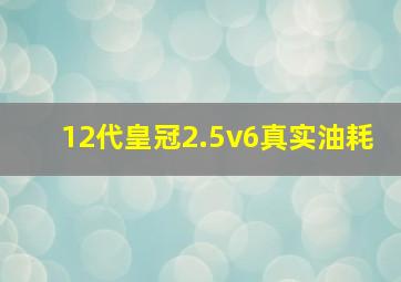 12代皇冠2.5v6真实油耗