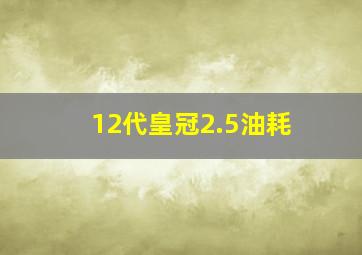 12代皇冠2.5油耗