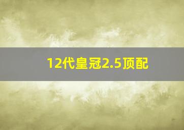 12代皇冠2.5顶配