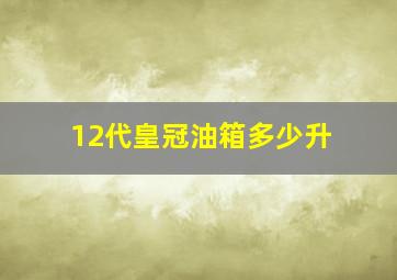 12代皇冠油箱多少升