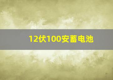 12伏100安蓄电池