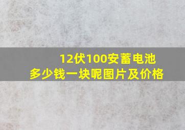 12伏100安蓄电池多少钱一块呢图片及价格