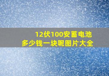 12伏100安蓄电池多少钱一块呢图片大全