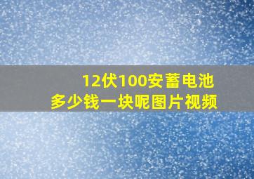 12伏100安蓄电池多少钱一块呢图片视频