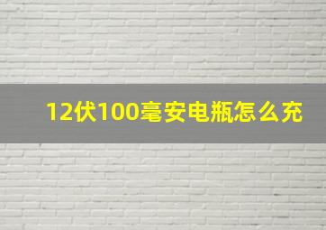 12伏100毫安电瓶怎么充