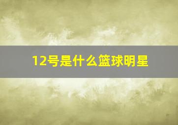 12号是什么篮球明星