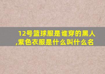 12号篮球服是谁穿的黑人,紫色衣服是什么叫什么名