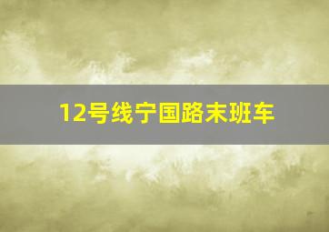 12号线宁国路末班车