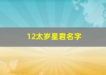 12太岁星君名字