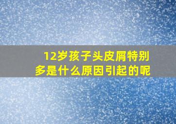 12岁孩子头皮屑特别多是什么原因引起的呢