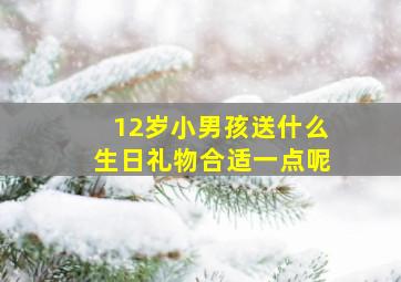 12岁小男孩送什么生日礼物合适一点呢