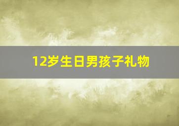 12岁生日男孩子礼物