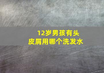 12岁男孩有头皮屑用哪个洗发水