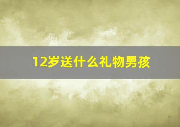 12岁送什么礼物男孩