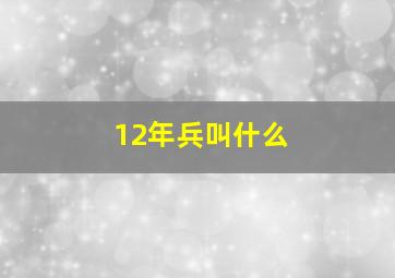 12年兵叫什么