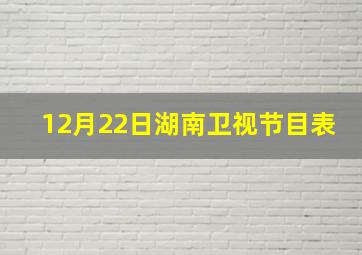 12月22日湖南卫视节目表