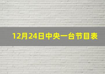 12月24日中央一台节目表