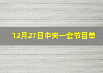 12月27日中央一套节目单