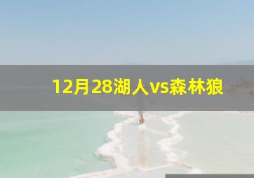 12月28湖人vs森林狼