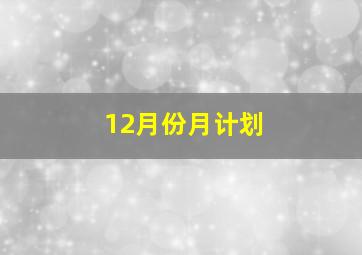 12月份月计划