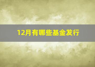 12月有哪些基金发行