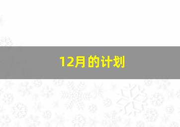 12月的计划