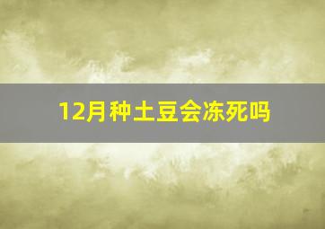 12月种土豆会冻死吗