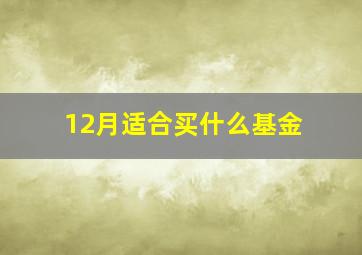 12月适合买什么基金