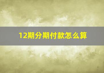 12期分期付款怎么算