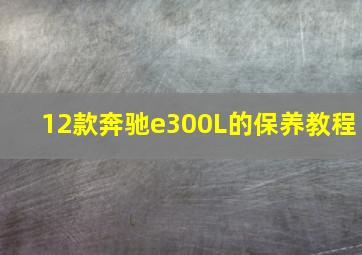 12款奔驰e300L的保养教程