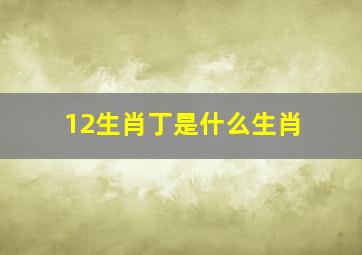 12生肖丁是什么生肖