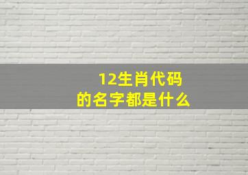 12生肖代码的名字都是什么