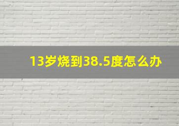 13岁烧到38.5度怎么办