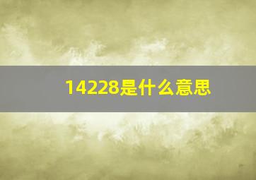 14228是什么意思