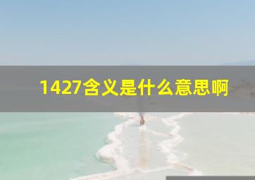 1427含义是什么意思啊