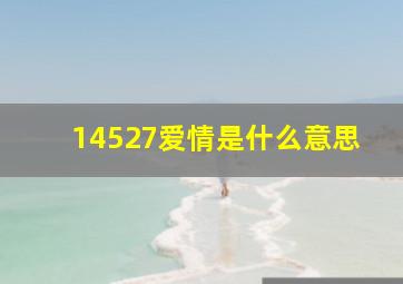 14527爱情是什么意思