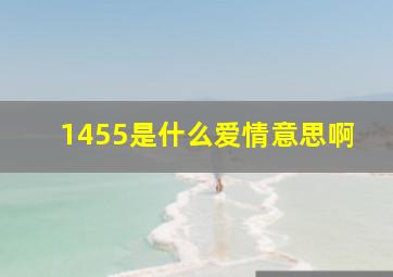 1455是什么爱情意思啊