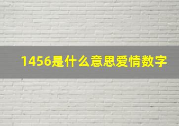 1456是什么意思爱情数字