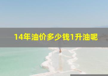 14年油价多少钱1升油呢