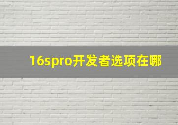 16spro开发者选项在哪