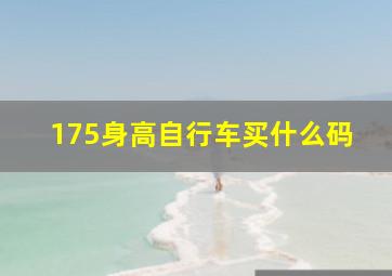 175身高自行车买什么码