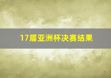 17届亚洲杯决赛结果