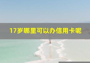 17岁哪里可以办信用卡呢