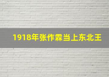 1918年张作霖当上东北王